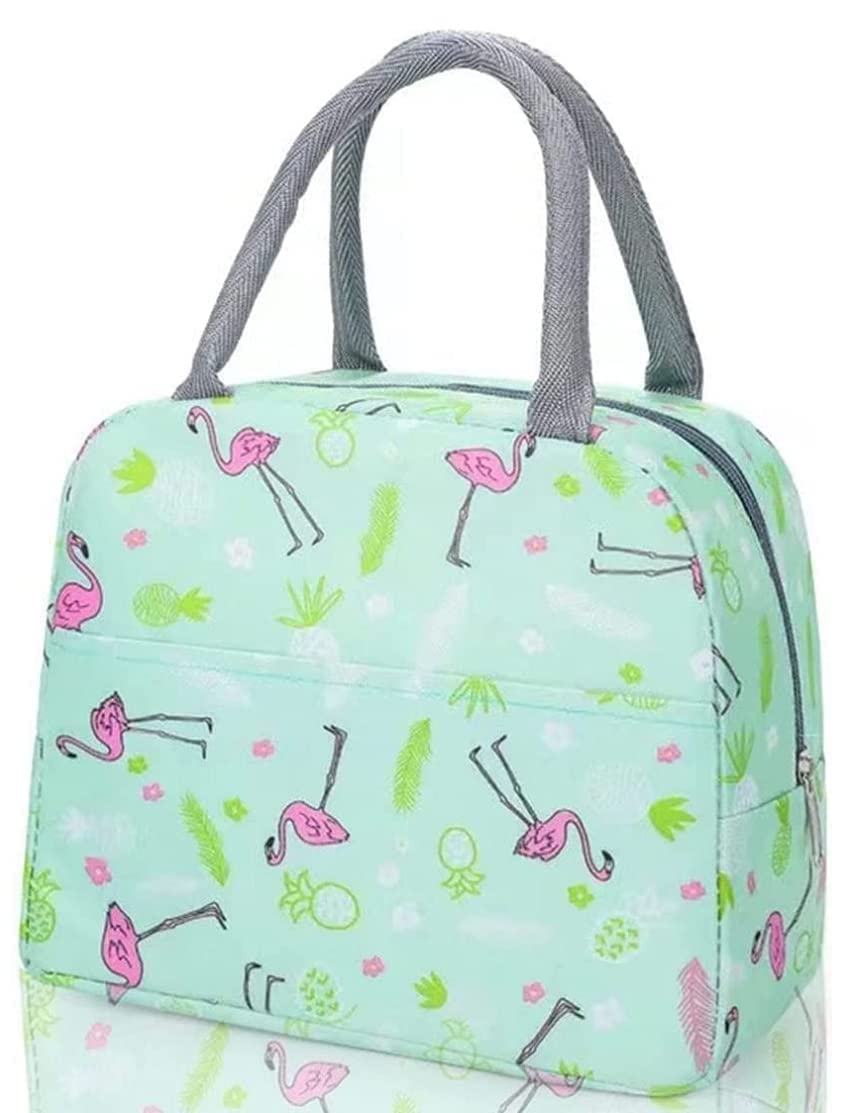 KARDIFF Aluminum Foil Insulated Lunch Bag For Women Small Lunch Leakproof Bag For Office, Work, School, Picnic Beach, Office, Outdoor, Gymor Travel (Green Flamingo), 5 Liter