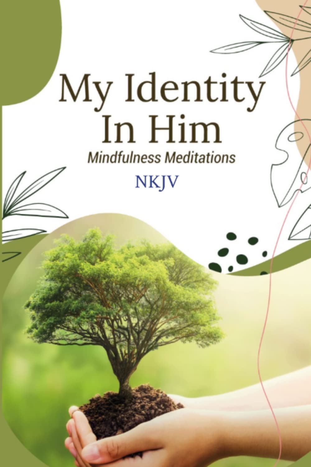 My Identity In Him: Mindfulness Meditations NKJV Paperback – 10 July 2022