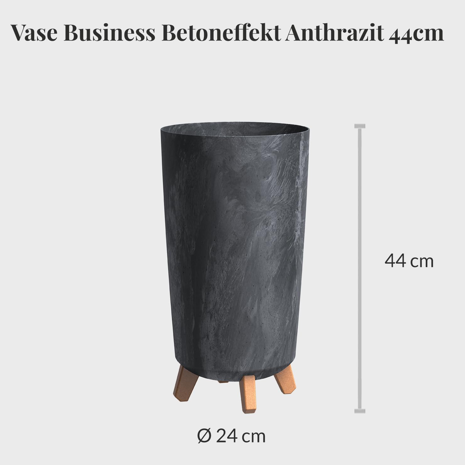 Sansevieria Bogenhanf - Pflegeleichte Zimmerpflanzen - Sukkulenten frisch aus der Gärtnerei - XL Hydrokultur Set Büro - Höhe 70-80 cm - in Vase Anthrazit - inkl. Blähton & Dünger