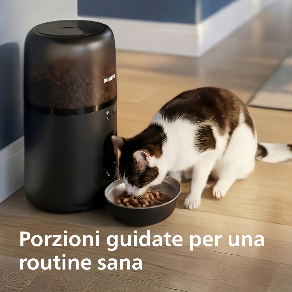 Philips Pet Series - Distributore intelligente per gatti con app, 4,5L