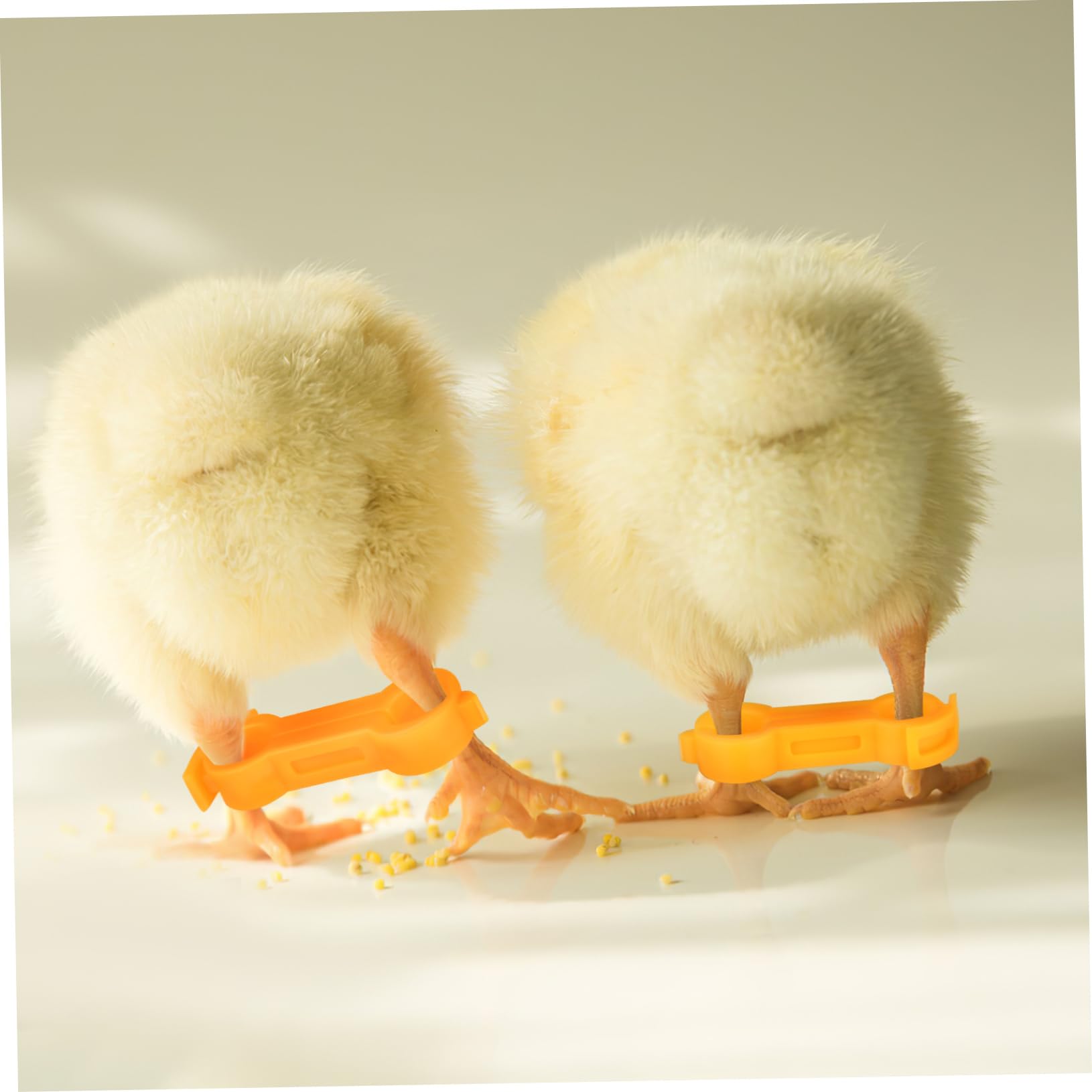 Anillo de Pollo Corrector de Patas para Pollitos, 12 Piezas | Pvc Amarillo, Orificios de 4, 5 y 6mm, Ajuste Seguro y Estable para Aves Pequeñas