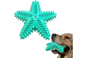 Blue Squeaky Starfish Dog Chew Toy for Water Fun and Dental Hygiene