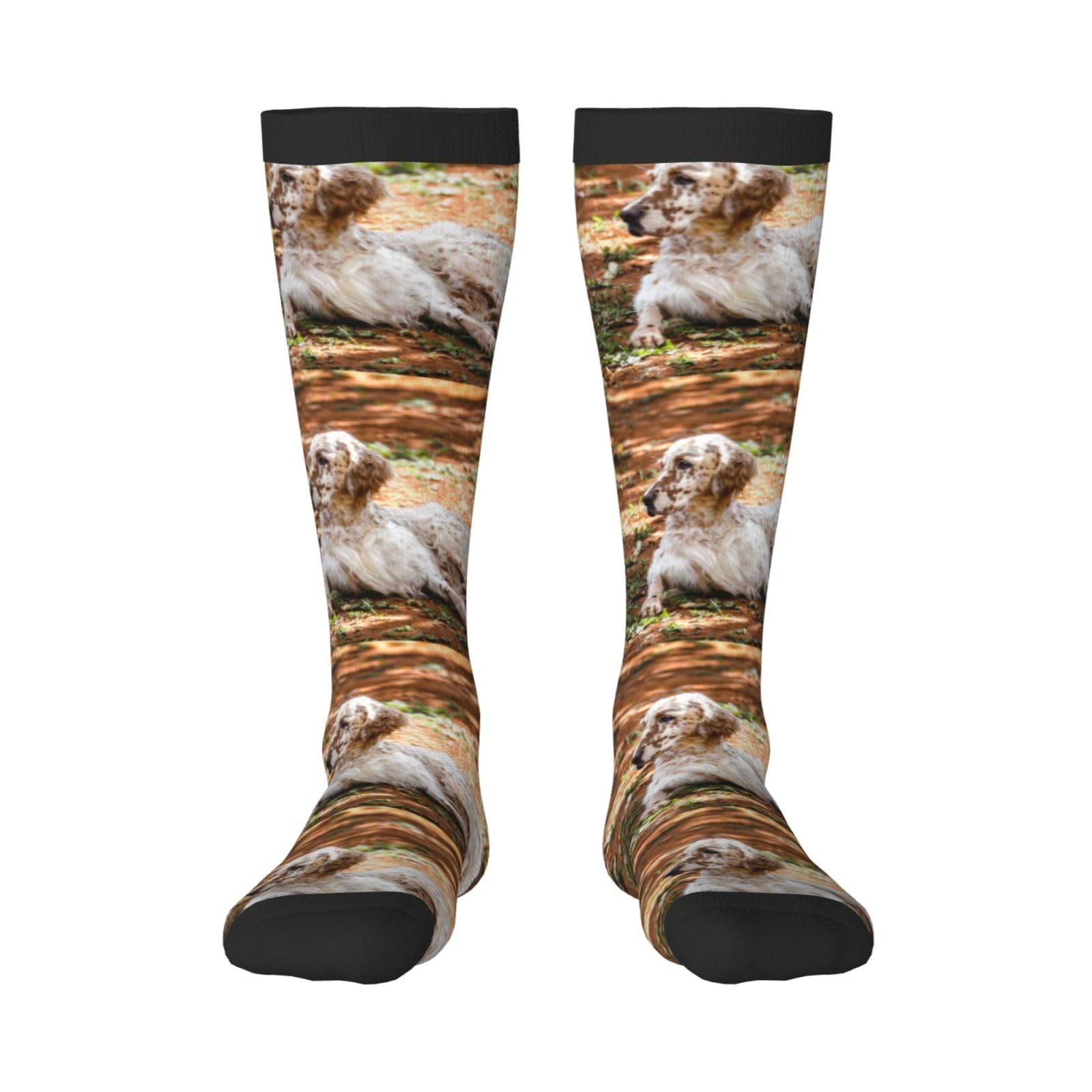 Tcoay Warm Adult Socks for Men Women Socks Sports Polyester Stockings,English Setter Autumn Pets Dogs English