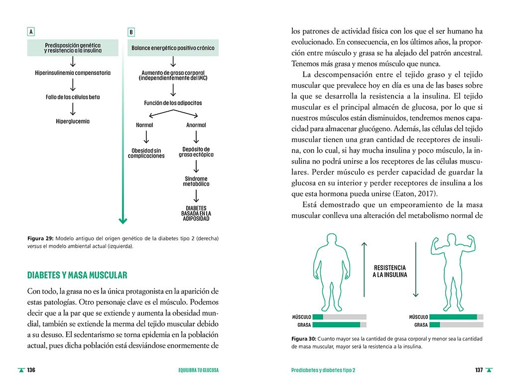 Equilibra tu glucosa: Mejora tu salud metabólica y reduce grasa corporal con rigor y ciencia (Alimentación saludable)