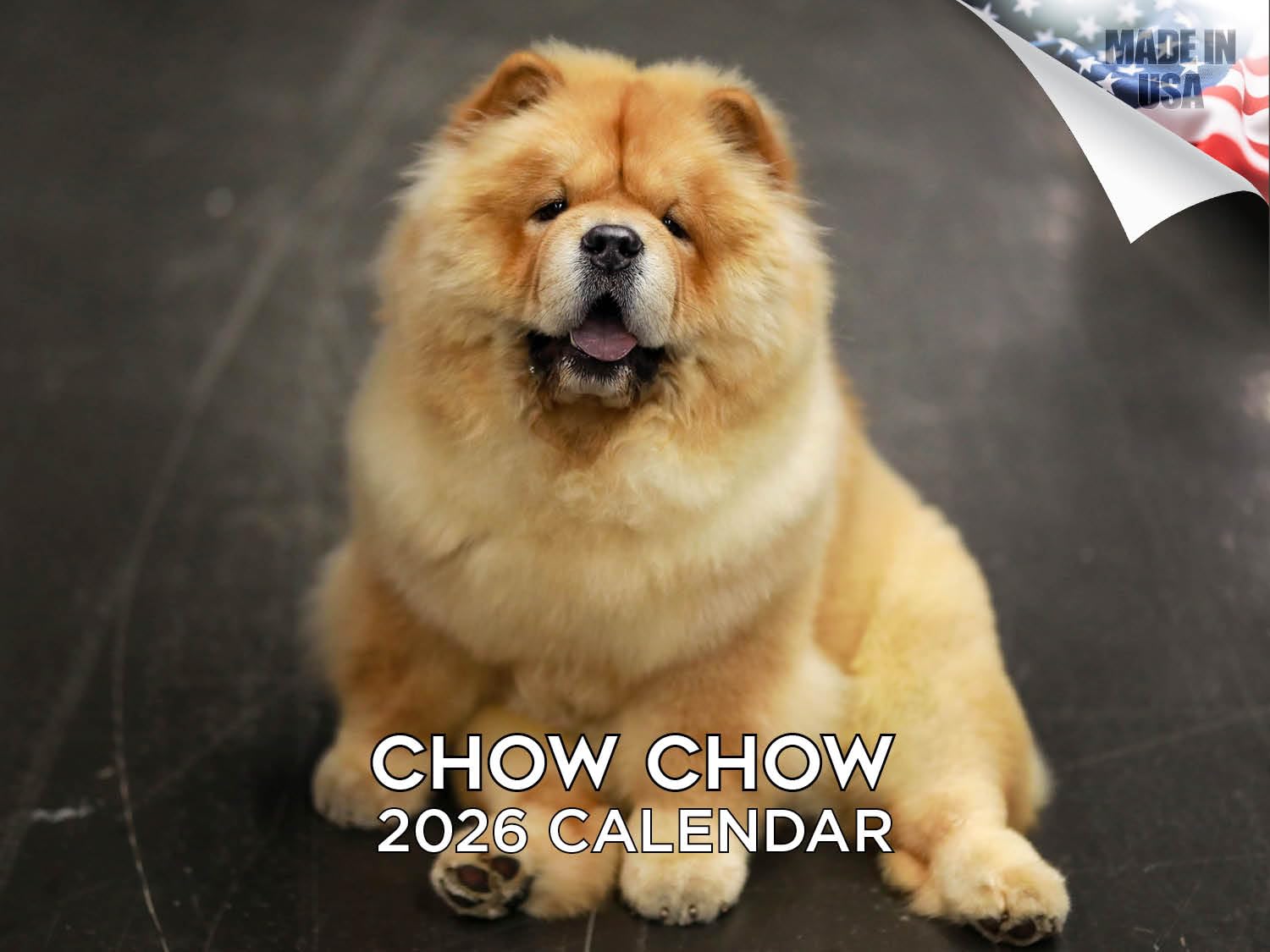 Calendario 2024 2025 Chow Chow – Calendario mensual de pared de raza de perro – 12 x 18 pulgadas abierto – Papel grueso que no se corre – Regalo – Calendario académico para profesores, organización y