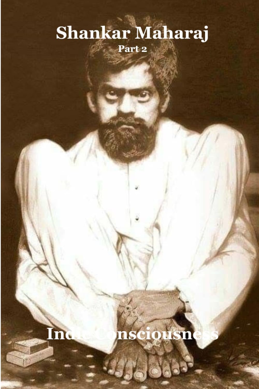 Shankar Maharaj: Part 2