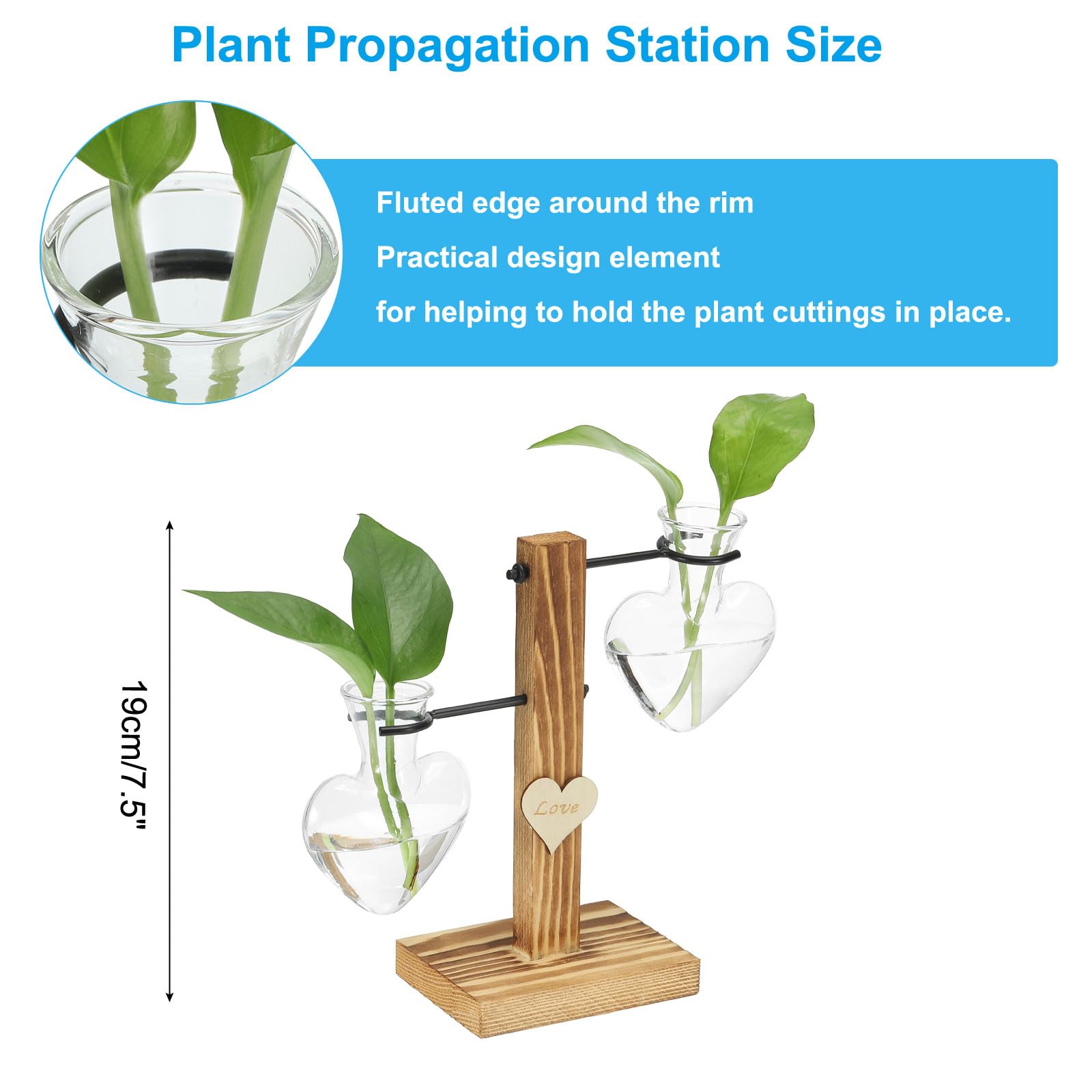 PATIKIL Retro Desktop Plant Terrarium 7.5x7.9inch - Image 2