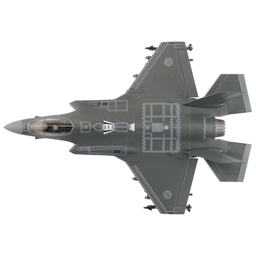 ホビーマスター 1/72 航空自衛隊 F-35A 第302飛行隊 69-8701 1/72 F-35A 航空自衛隊 第302飛行隊 ＃69-8701 [HA4423] ホビー