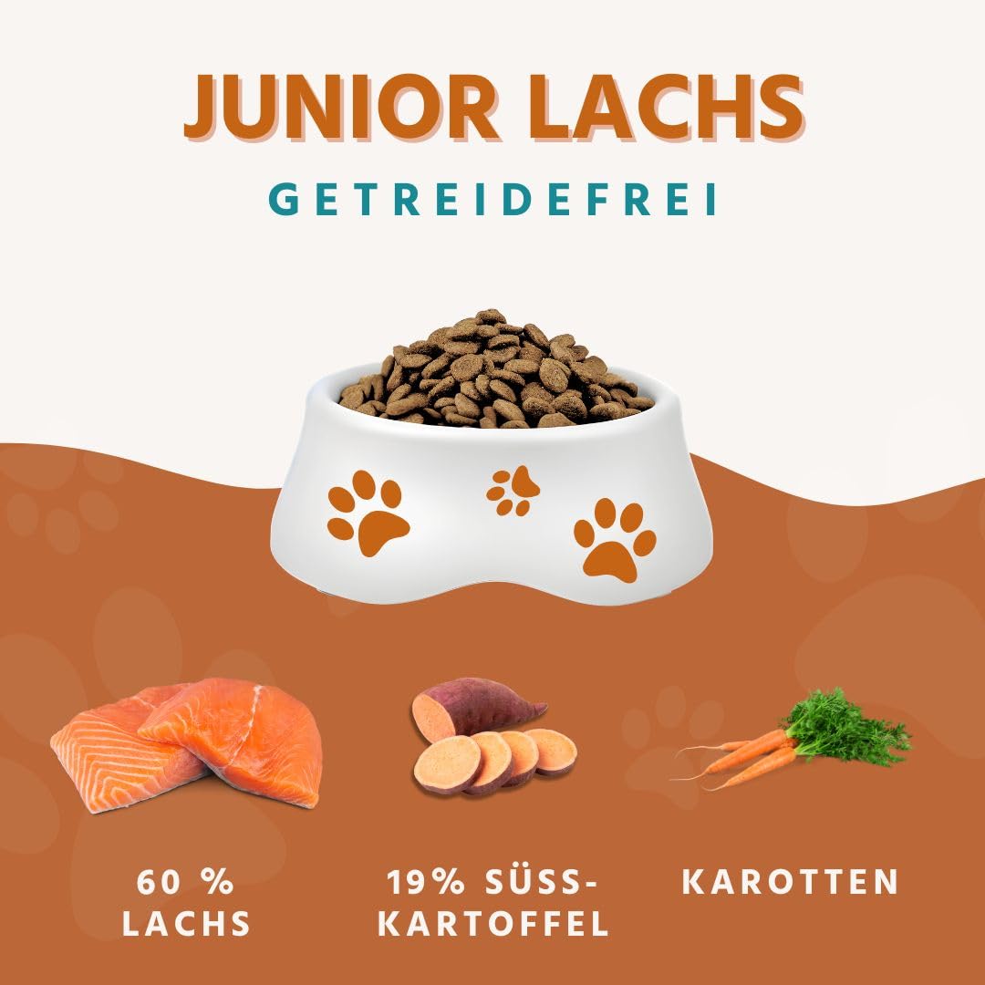 Wildfang® Trockenfutter für Hunde 6kg – Premium Hundetrockenfutter mit Lachs, Getreidefrei & glutenfrei, mit natürlichen Zutaten, ohne Zuckerzusatz, Welpenfutter trocken für Hunde – 1er Pack