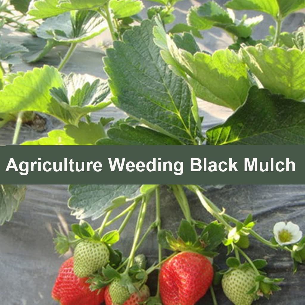 Agricultura, Deshierbe, Mantillo Negro, 0,8 M De Ancho, Espesor De 0,01mm, Invernadero Vegetal, Fresa, Película Plástica Especial, Películas For Cultivo De Plantas, 1 Uds. ( Size : 0.8mx100m(2pcs 50m)