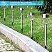 Luces Solares Jardín LED Bawoo 12PCS IP65 Jardín Lámpara de Camino de...