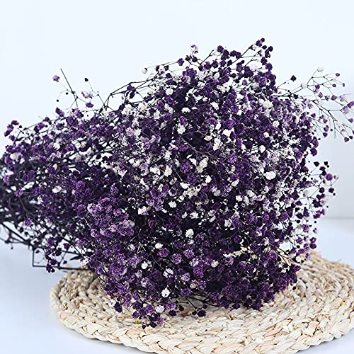 Natural Dry Flower Gypsophila Fresh Dried Preserved Flowers Gypsophila Paniculata Breath Flower Bouquets For Wedding Party Home Dekoration (purple,30-40cm30g)
