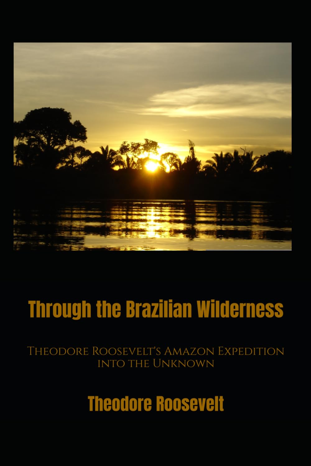 Through the Brazilian Wilderness: Theodore Roosevelt's Amazon Expedition into the Unknown