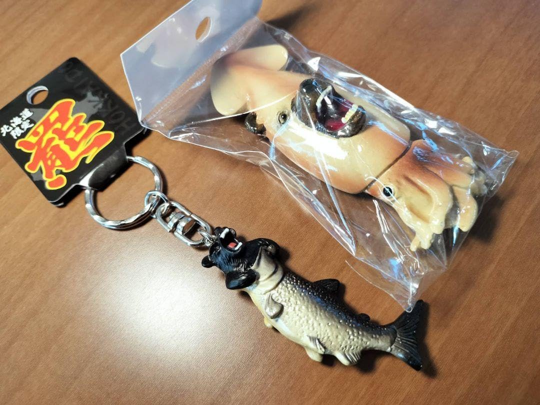 Amazon.co.jp: 北海道限定 イカ熊マグネットとヒグマのキーホルダー