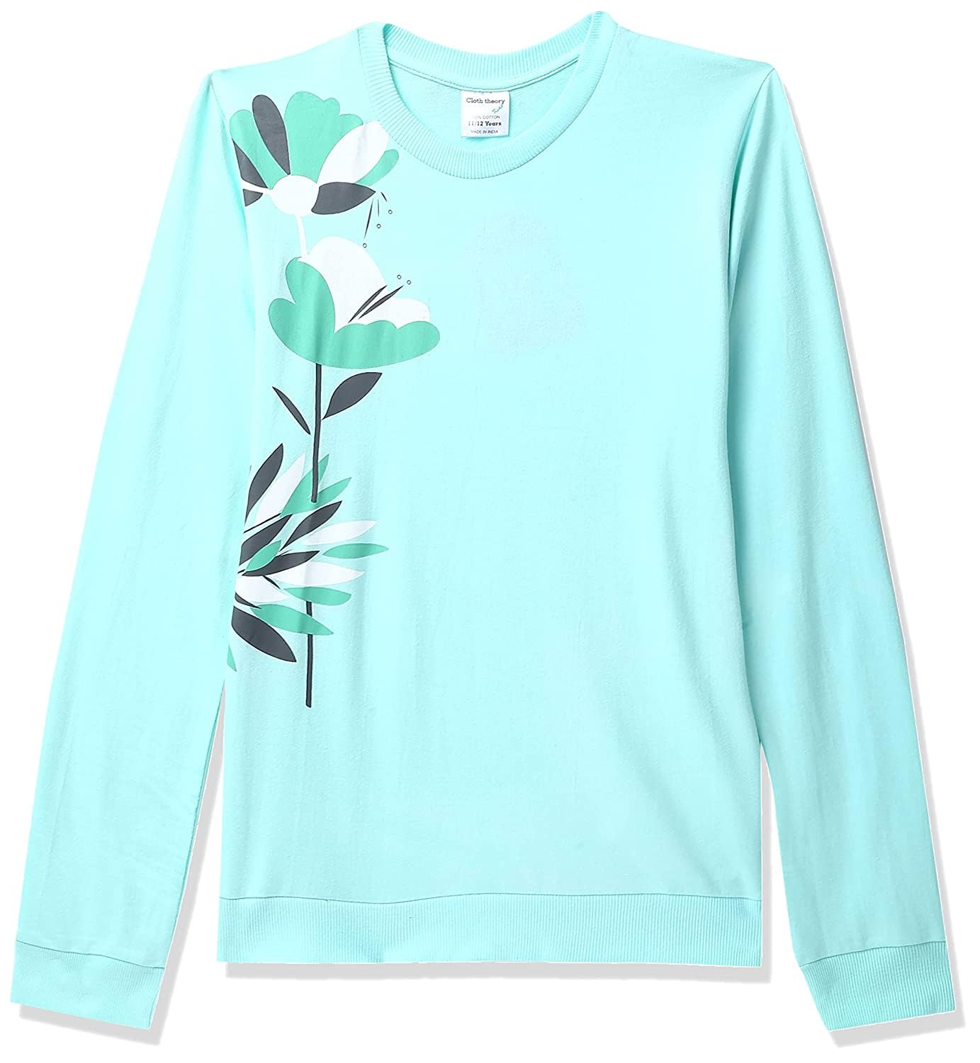 Cloth Theory Girls Cotton Crew Neck Regular Fit Sweatshirt s (Swsgl21_4_Mint 15-16 Years_Mint_Green_15 Years-16 Years)