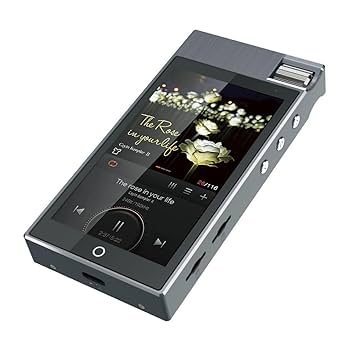 Cayin n5 ii mk2 同軸ケーブルセット　動作確認済 Cayin n5 ii mk2 同軸ケーブルセット 動作確認済 新製品】本日