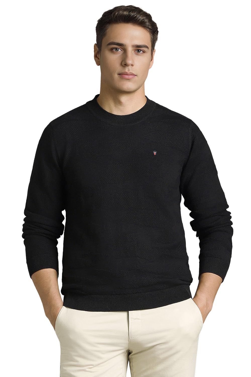 louis philippe Men Sweater-picture-39
