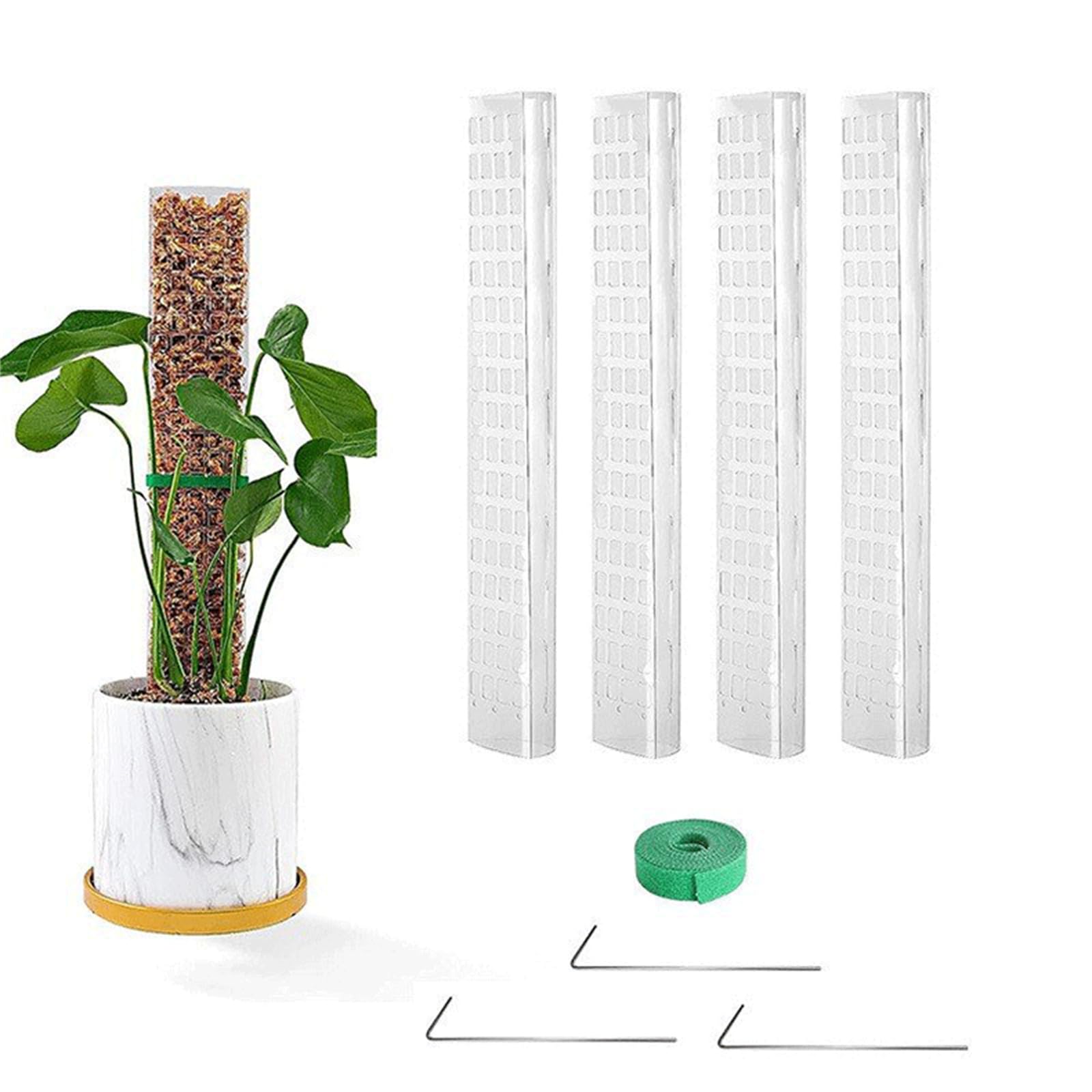Bâtons de mousse pour plantes grimpantes de 61 cm - Poteaux de support pour plantes d'intérieur - Support d'escalade Monstera - Piquets de terre - Liens - Poteaux en mousse Monstera
