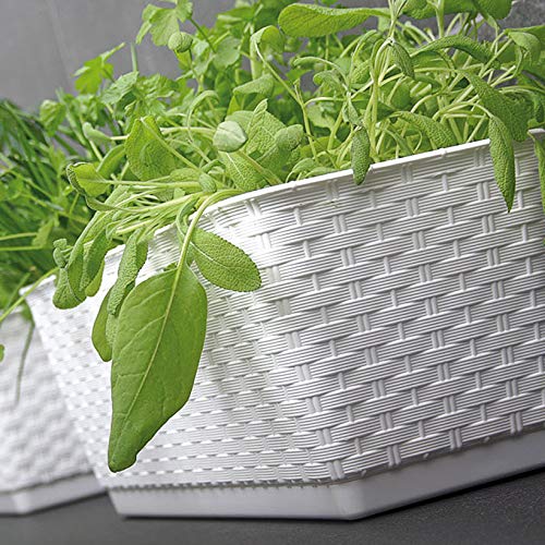 PAFEN Fioriera effetto rattan, con supporti, 4 colori