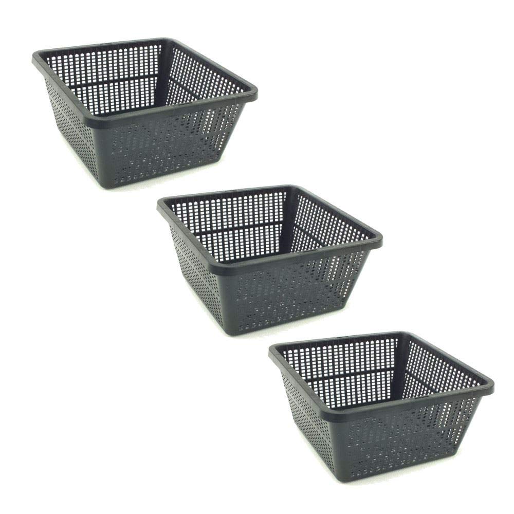 Pisces Black Pond Square Plant Basket 19 X 19 X 9Cm - 3 Pack Of Pond Planting Pot