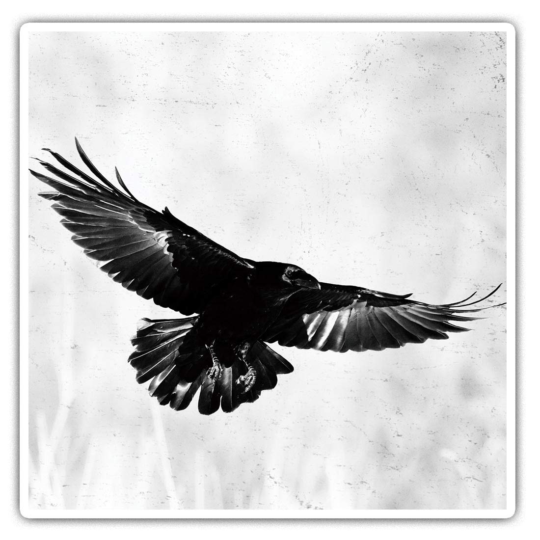 Square Stickers (Set of 2) 10cm - Flying Black Raven Crow Bird Laptop Tablet Luggage Scrapbook #21240