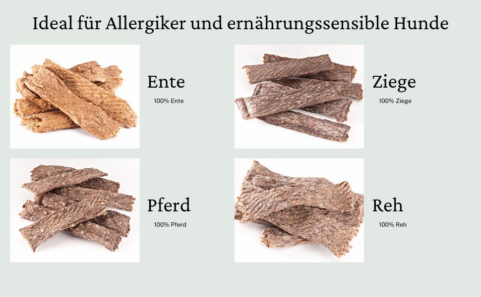mascota vital - Trockenfleisch für Hunde – 100% natürlich & schonend getrocknet – Ohne Zusatzstoffe – Leicht verdaulich – Weicher Kausnack für Welpen, Senioren & Sensible Hunde (Wildschwein, 100g)