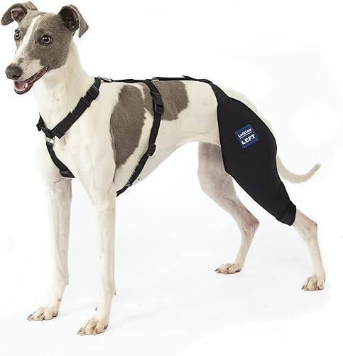 Miniatura 9 de LufeLux Rodillera para perro con arnés y cinturón de conexión, ligera y elástica, soporte para piernas traseras desgarradas de ACL, rótula luxante,