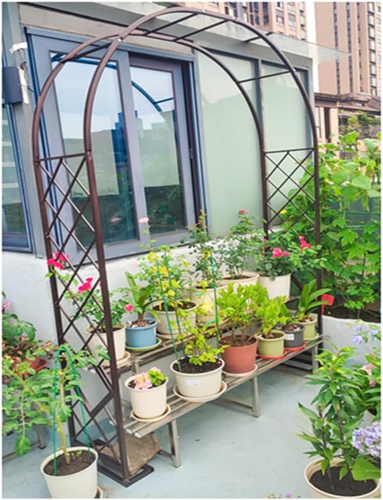 Arche pour plantes grimpantes stable contre le vent noir - 6