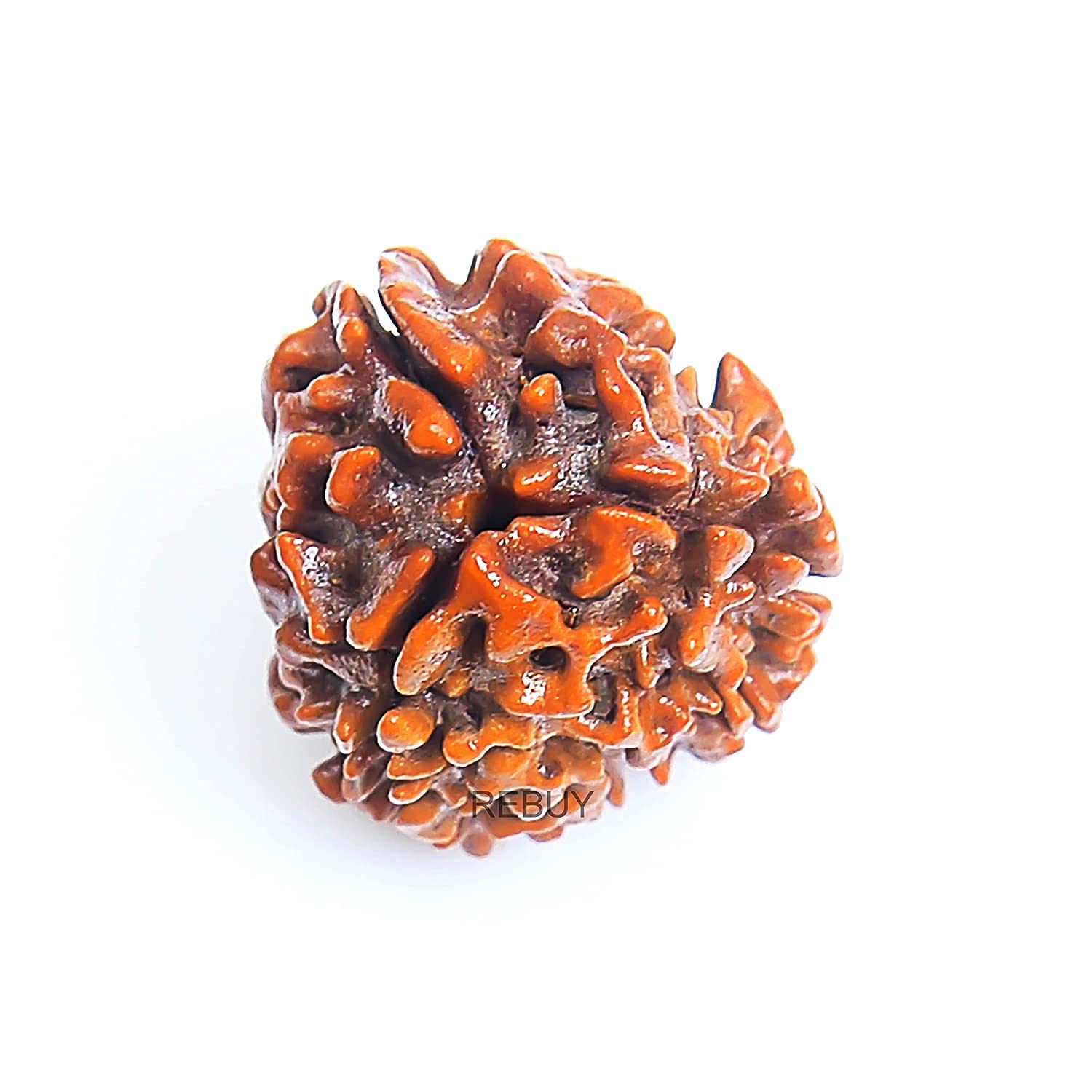REBUYREBUY 3 Mukhi Rudraksha Bead Lab Certified Original Rudraksha Bead for Men & Women, Color Brown, Origin Indian