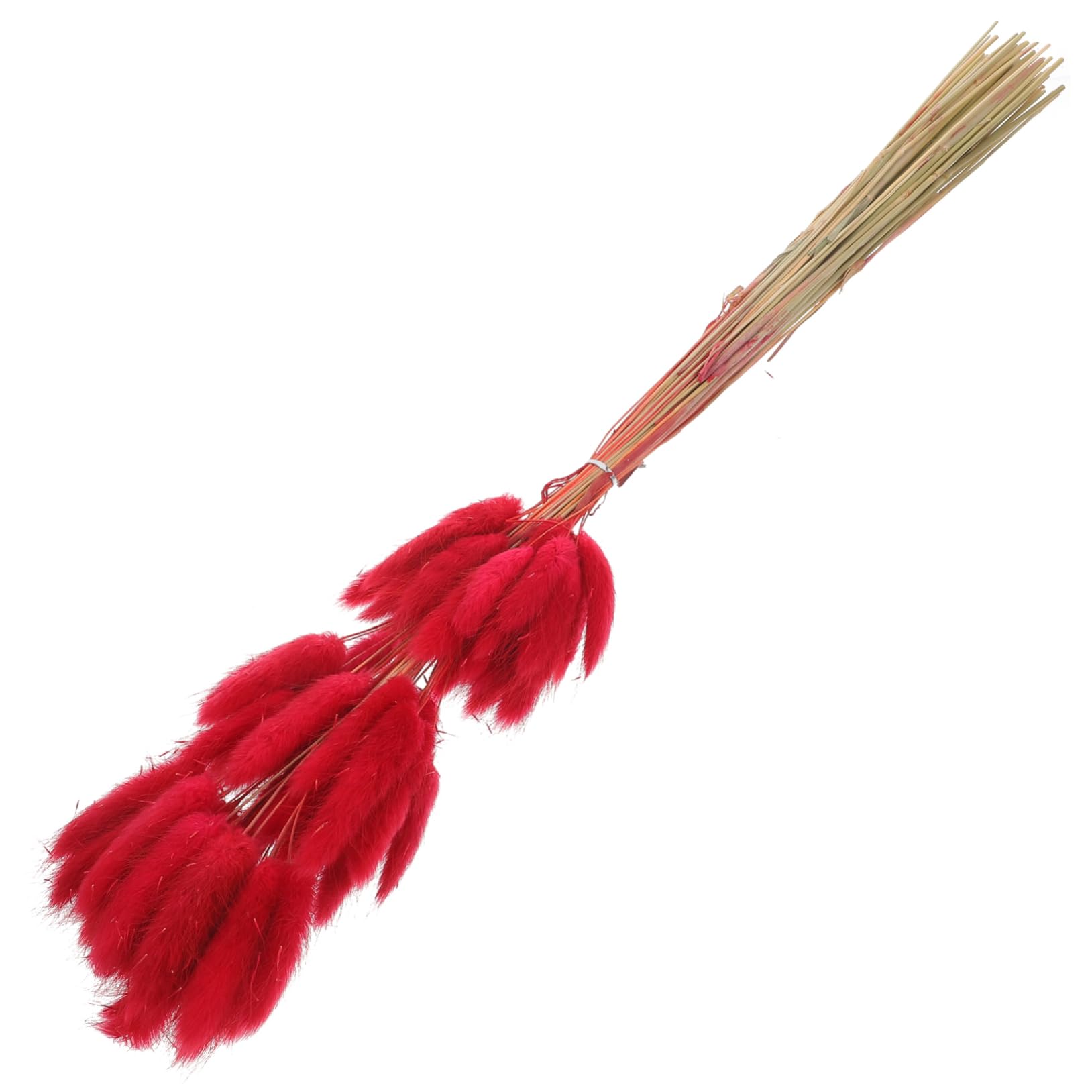 Zerodeko 300stücke Deko Hasenschwänze Getrocknete Blumen Für Hochzeitsarrangements Tischdekoration Badezimmer Und Romantisches Und Farbenfrohes Naturdekor
