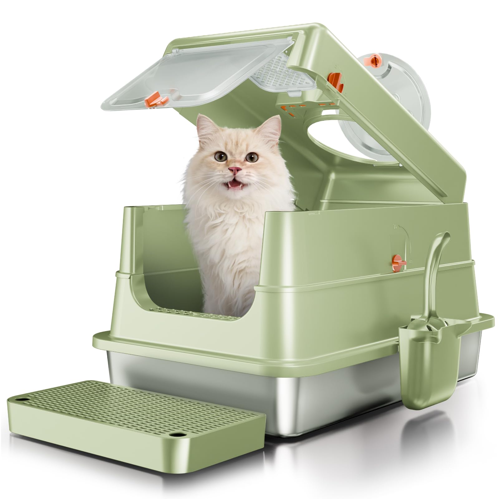 Bac à litière en acier inoxydable durable et son couvercle vert élégant