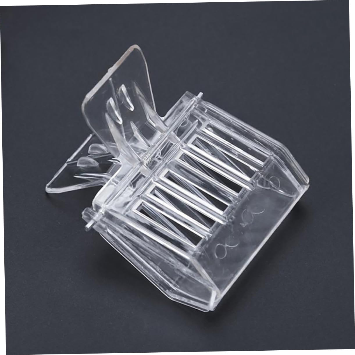 SOIMISS 5 Set Gabbia Arnia Forniture Per Apicoltura Gabbia Per Allevamento Apicoltura Clip Per Apicoltura Attrezzatura Per Apicoltore Strumento Clip Per Regina Delle Api 6 pezzi*5