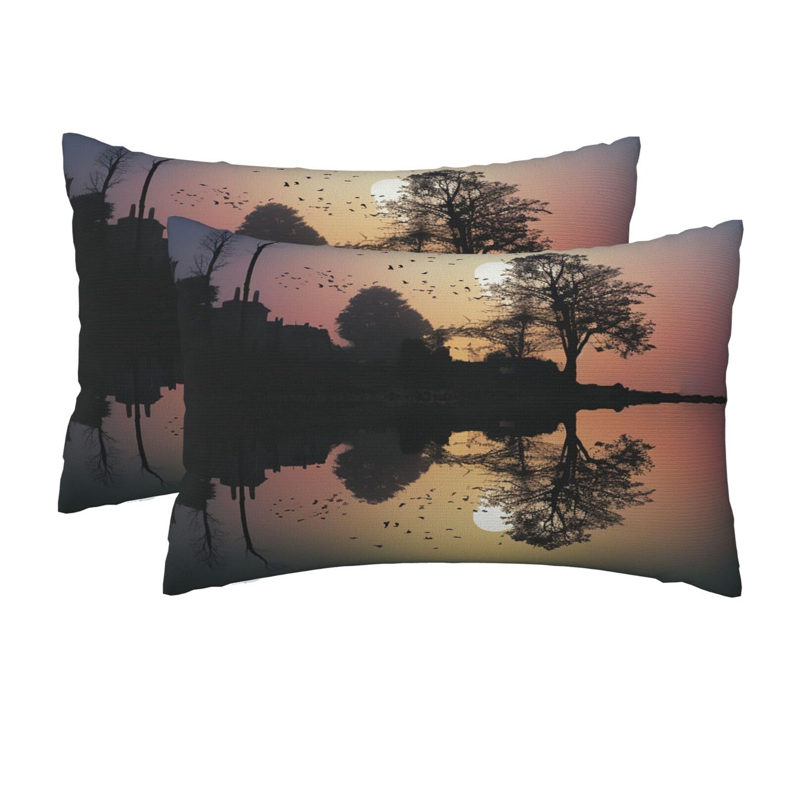 2 Pack Queen Pillow Cases with Hidden Zipper, Soft Breathable Pillow Covers for Hair and Skin, Reflection Guitar Pillowcases 20"x30" Bed Pillow Protectors Cover for Sleeping Gifts