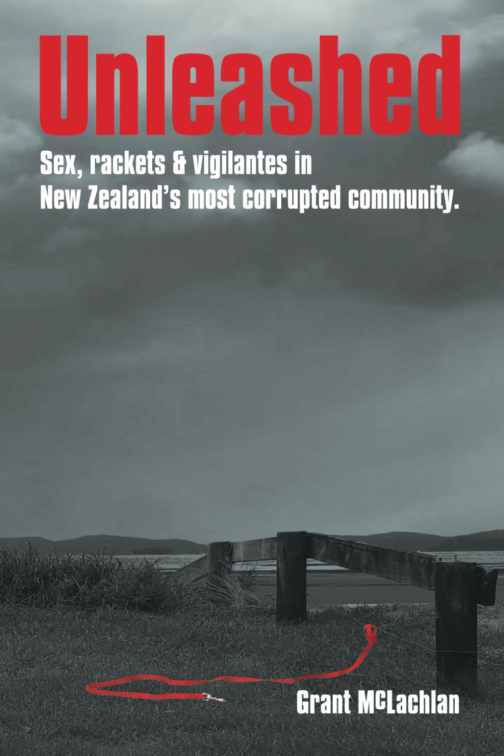 Unleashed: Sex, rackets & vigilantes in New Zealand's most corrupted community.