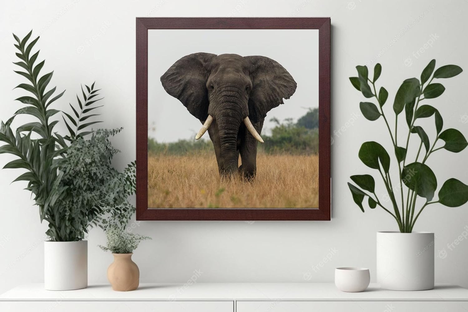 Bloomingtons Direct Mahogany 80X80cm Square Picture Photo Frame With Styrene Glass Poster Frame Wood Without White Wall Mount 80X80cm Photo Frame (Mahogany)
