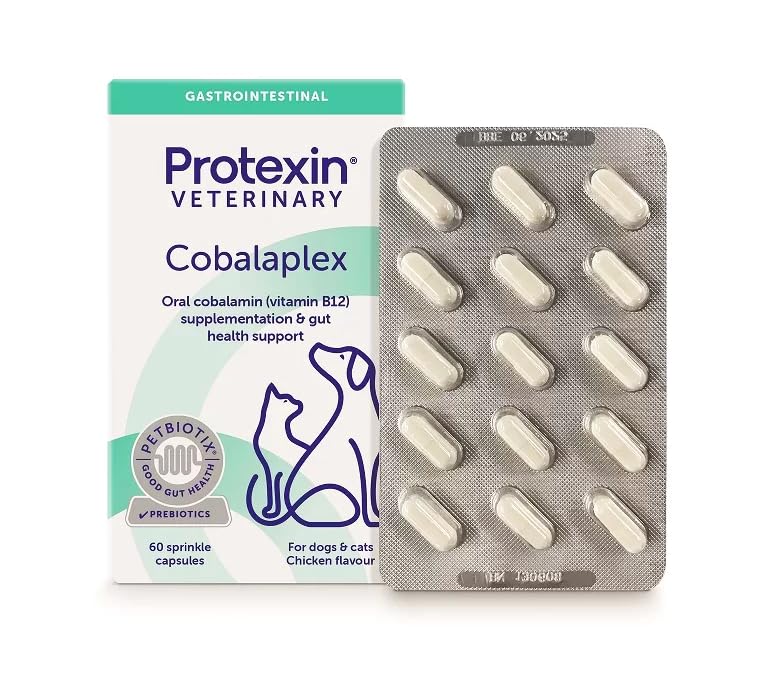 PROTEXIN | Cobalaplex 60 capsule, supplemento orale di cobalamina (vitamina b12) e acido folico per supportare i livelli normali nei cani e nei gatti con carenze