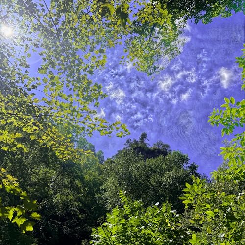 Amazon MusicでSakitaroのMixerを再生する