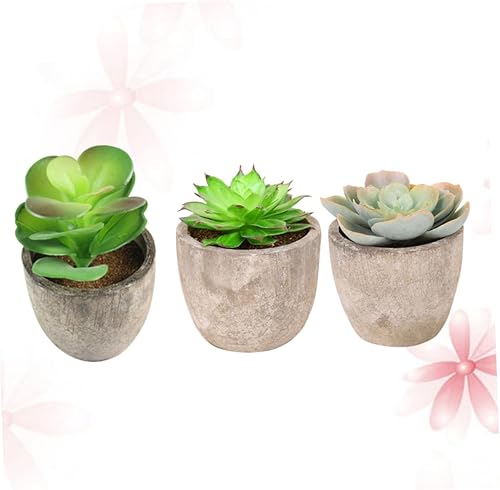 Miniatura 8 de STOBOK 3pcs Artificial Succulent Succulants Decor for Home Artificial Potted Succulent Plants Suculentas Pot Feaux Succulents Potted Bonsai Potted