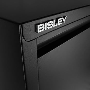 Amazon.com: Bisley 2-Drawer Flush Front Vertical File Cabinet