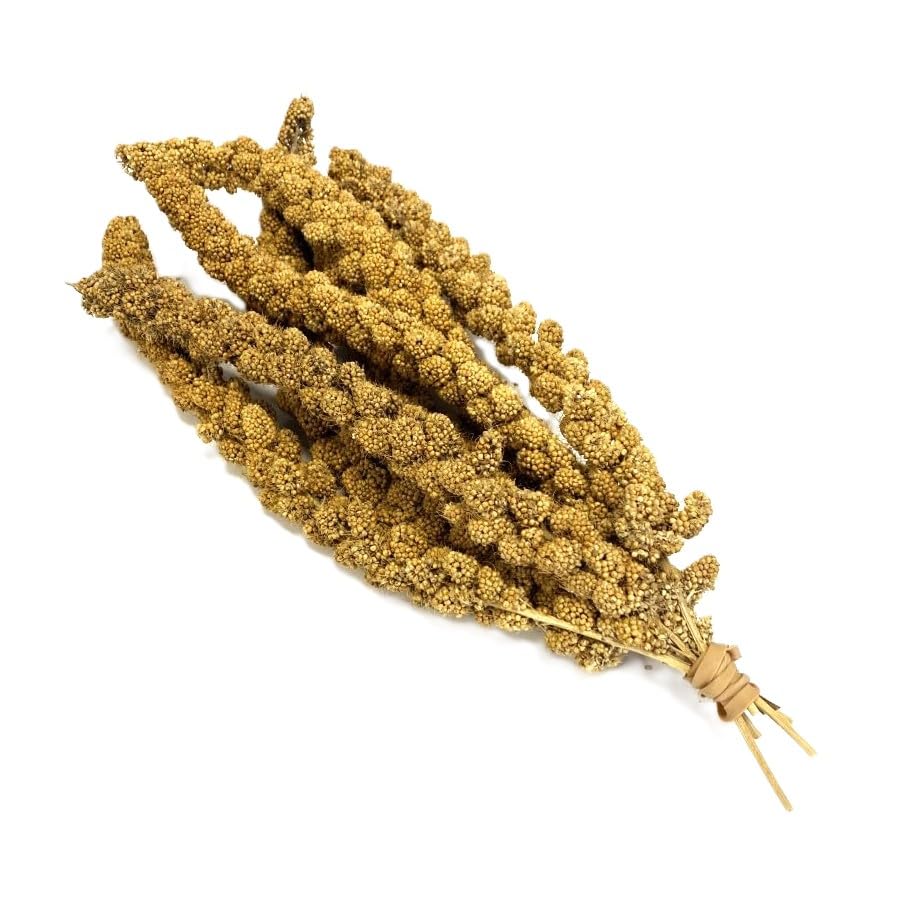 Millet Sprays 14kg (14 x 1kg Bags) Premium Cage Bird Food Seed