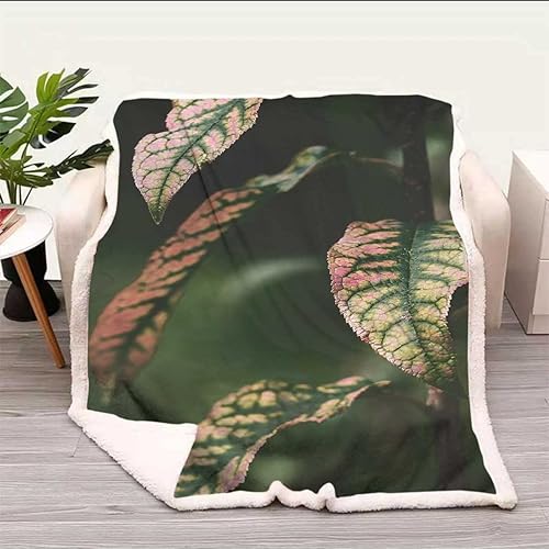 Miniatura 10 de Cobijas Calientes para Invierno Cobijas para Invierno - Manta de exterior esponjosa, cálida, acogedora, gruesa para sofá, dormitorio, tamaño de