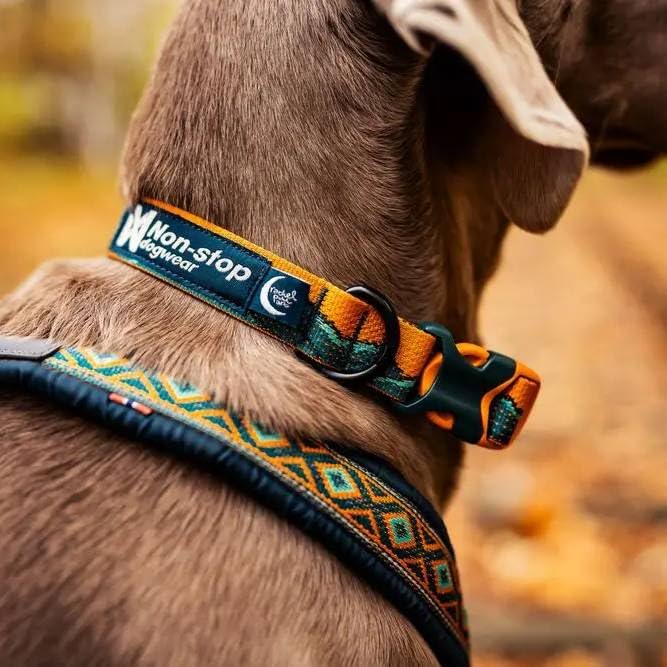 Non-Stop Dogwear Trail Quest Halsband Rachel Pohl Edition, Blaugrün/Eiche, L