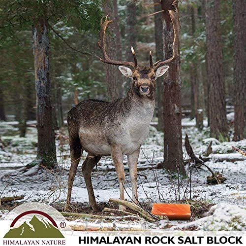 IAgriFarm-Calcium-Block-Pack-of-2-Animal-Lick-for-Cow-Goat-and-Sheep-2kg