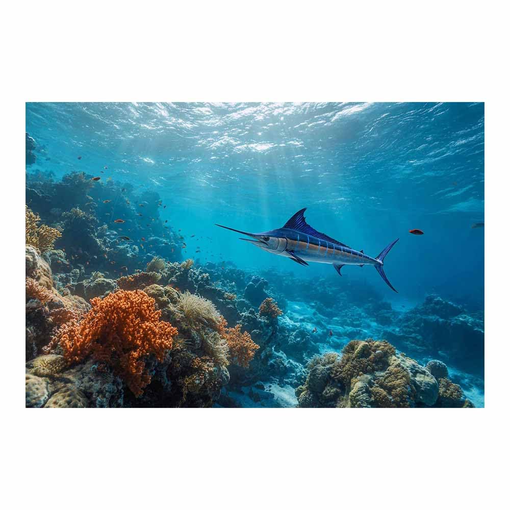 DMZPKZB Modern Landscape Picture Marlin Corals Reef Viewss Canvas Wall Art,Minimalism Scenery Painting,for Dining,Bathroom, Living Room, Bedroom,Corridor(Multicolor)-60x90cm Unframed