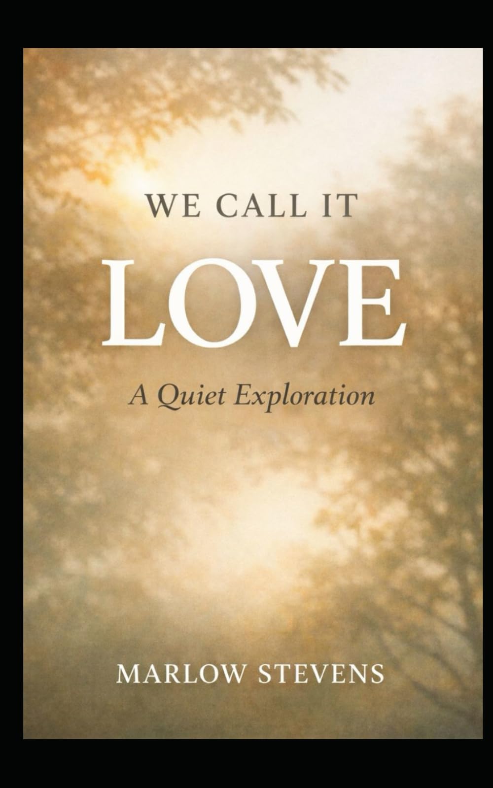 WE CALL IT LOVE: A Quiet Exploration: 17 (Marlow Stevens Book Series)