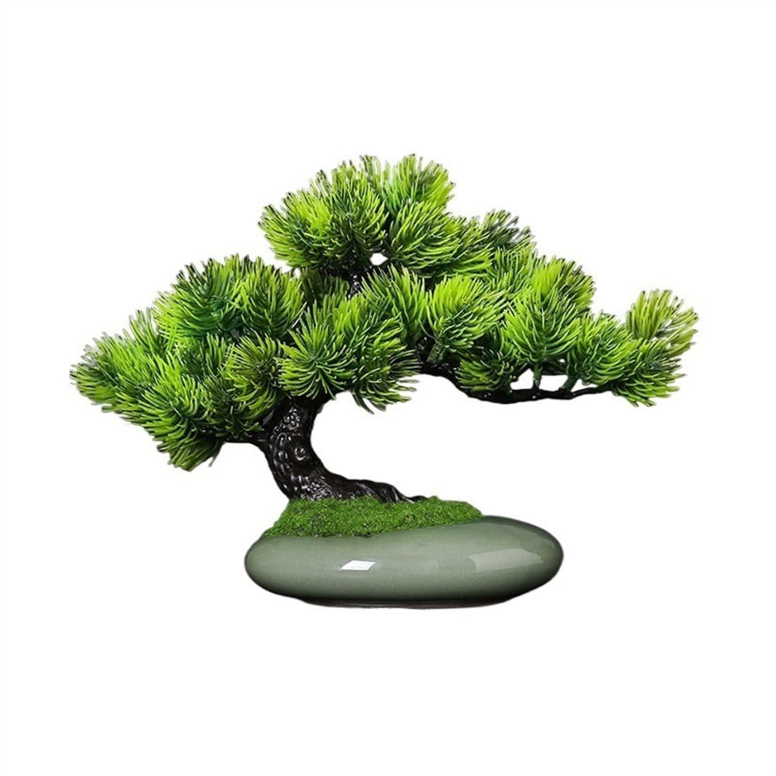 HCZKIUJY Bonsai Indoor Simulation Tree Decoration Desktop Small Potted Plants Fake Greenery Ornaments Feng Shui Decorations Plant