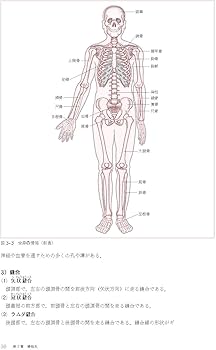 61uz76VpRKL._AC_UF350,
