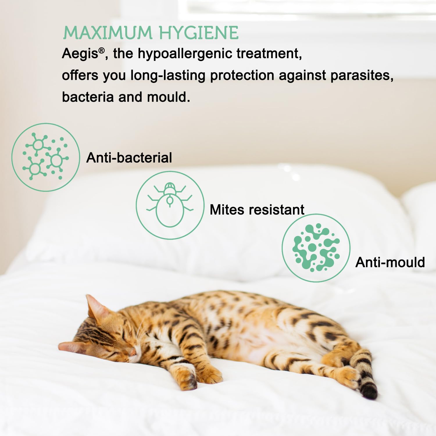 Zipped Pillow Covers Protectors 2 Pack 65x65 cm - Waterproof Tencel™ - Oeko-Tex® Certified in Aegis® Ecological and Sustainable Fibre - Image 2