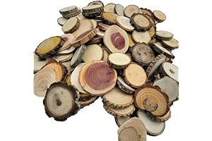Wood Slice Variety Pack for Stunning Cedar Wall Planks