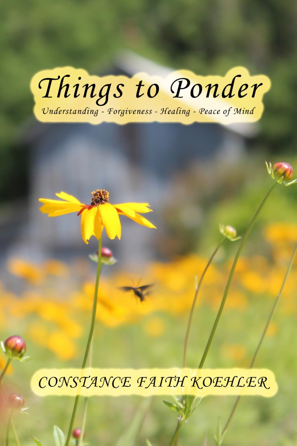 Things to Ponder: Understanding—Forgiveness—Healing—Peace of Mind